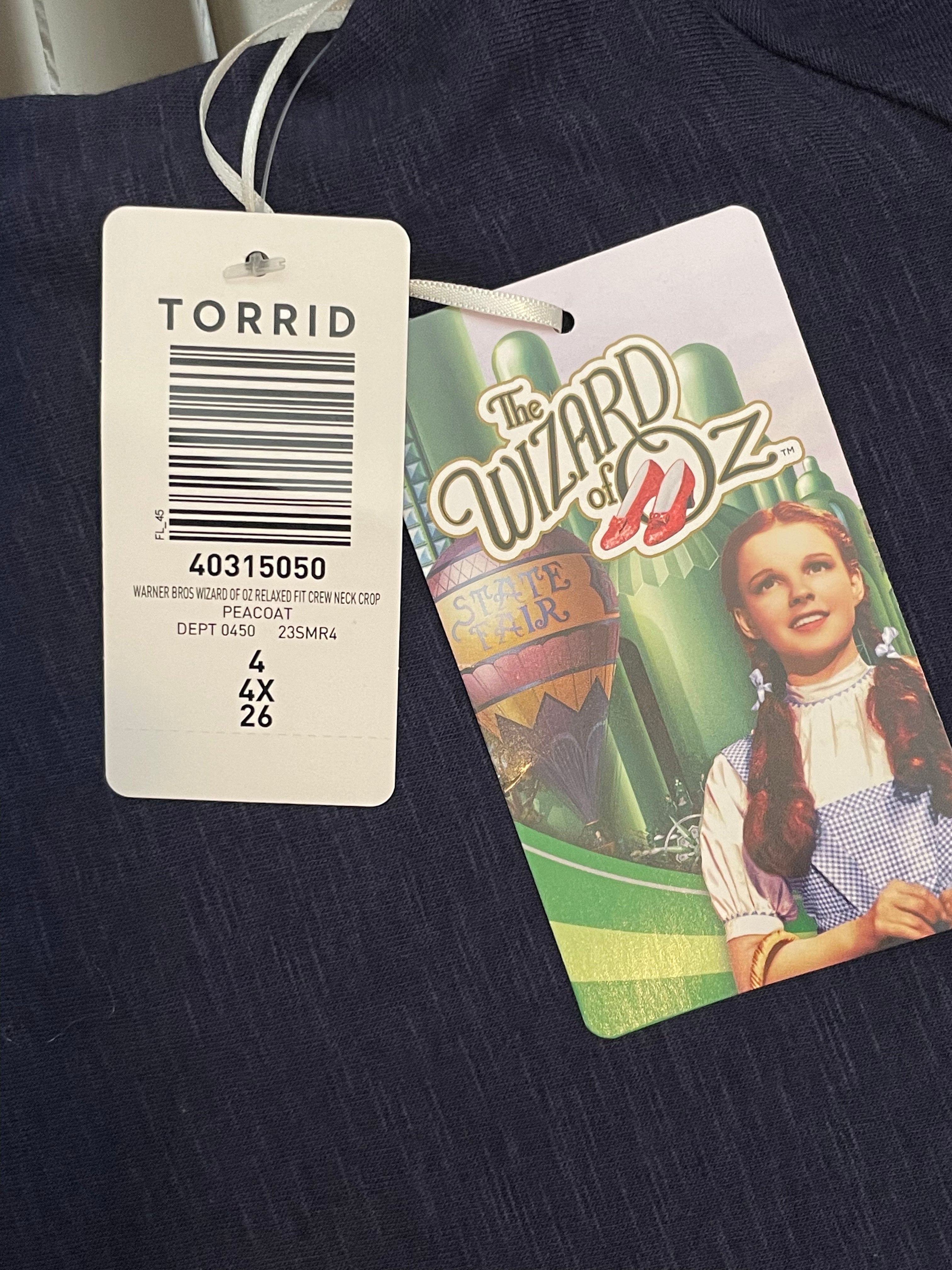 Warner Bros Wizard Of Oz Relaxed Fit Crew Neck Crop Top